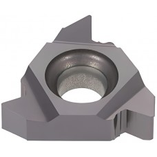 16ERG60 B AH725 пластина резьбовая 16ERG60 B AH725 пластина резьбовая